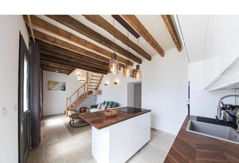 L'Evasion-Spa-Hammam-Sauna Illimite - 2 A 4 Pers Saint Cyr sur Loire Bagian luar foto