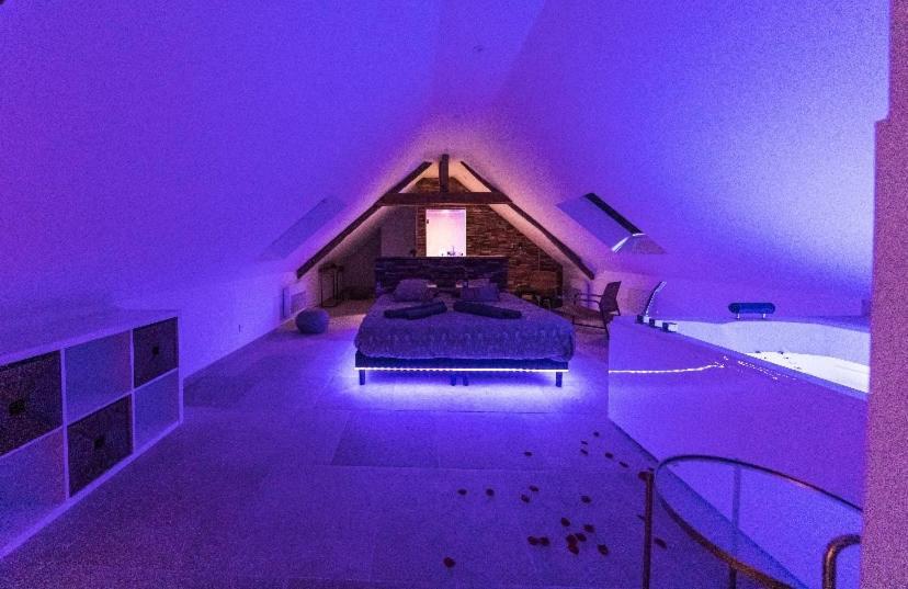 L'Evasion-Spa-Hammam-Sauna Illimite - 2 A 4 Pers Saint Cyr sur Loire Bagian luar foto