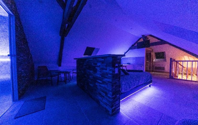L'Evasion-Spa-Hammam-Sauna Illimite - 2 A 4 Pers Saint Cyr sur Loire Bagian luar foto