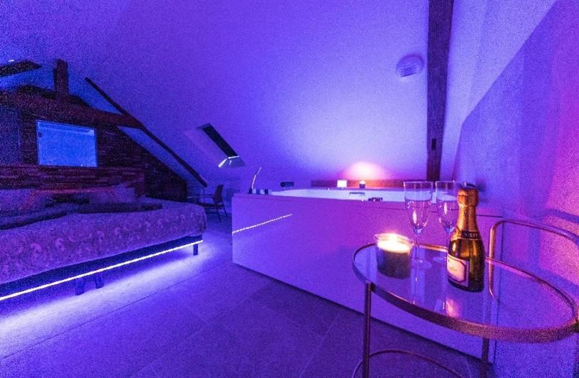 L'Evasion-Spa-Hammam-Sauna Illimite - 2 A 4 Pers Saint Cyr sur Loire Bagian luar foto